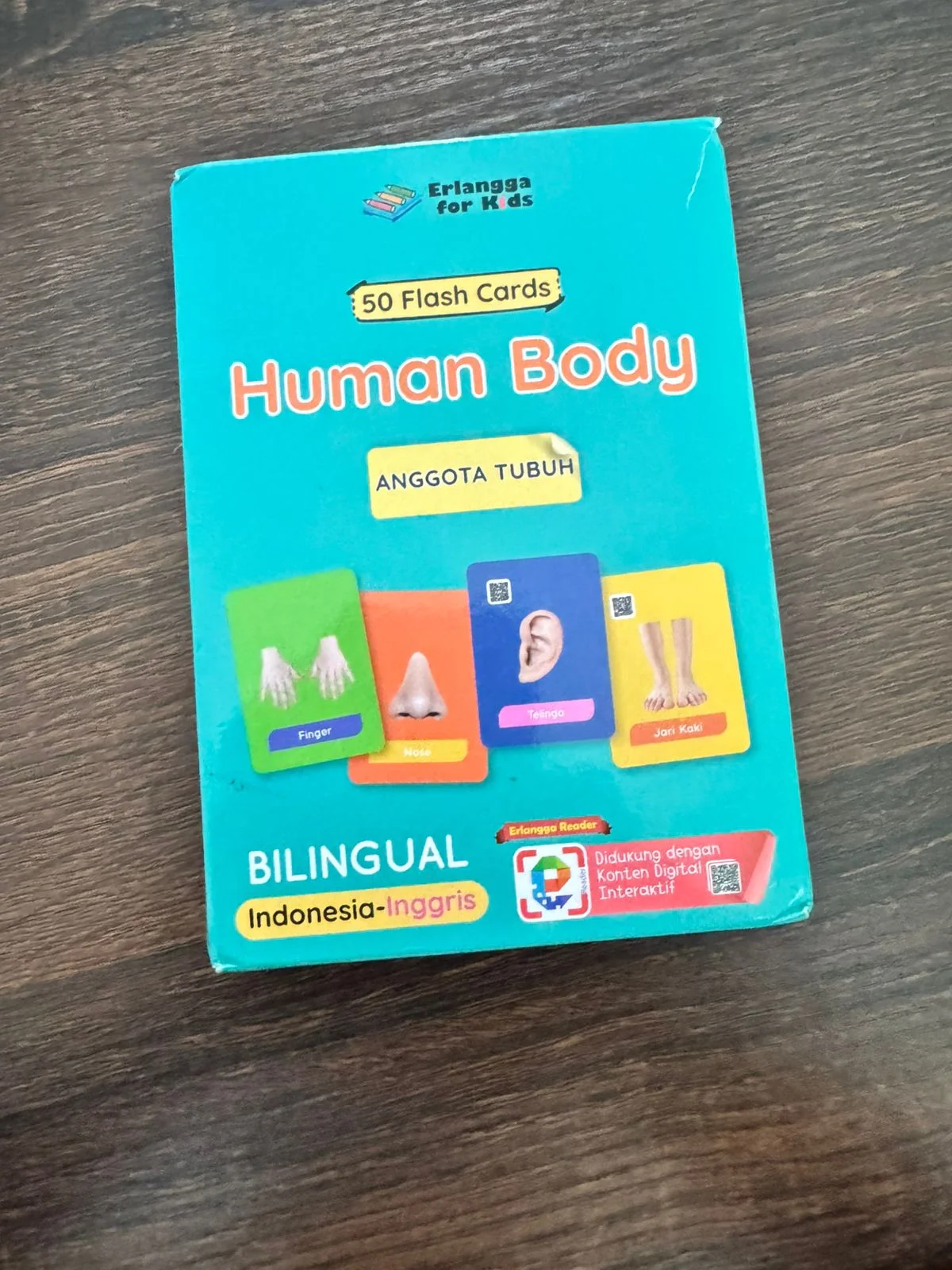 Flashcard Human Body